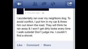 Facebook game talks about running over neighbor’s dog