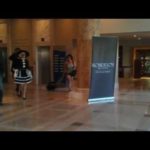 Lady GaGa’s Bodyguard Takes Down Fan in New Video