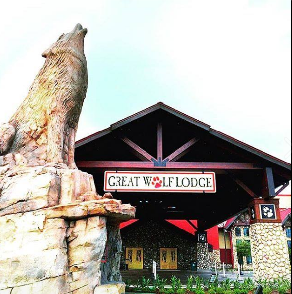 Ways To Save Money On a Trip to Great Wolf Lodge