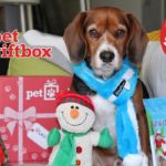 Pet Gift Box Is The Perfect Gift For The Pet or Pet Lover In Your Life