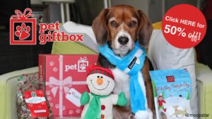 Pet Gift Box Is The Perfect Gift For The Pet or Pet Lover In Your Life