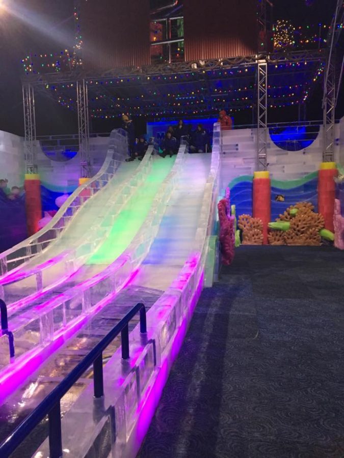 Experience Of a Lifetime at Moody Gardens Ice Land 2016