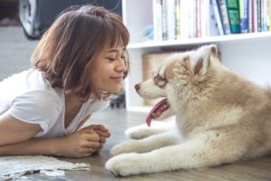 How To Keep Your Dog Off the Couch