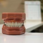 Dental Plans for You and Your Family: How to Choose the Best One