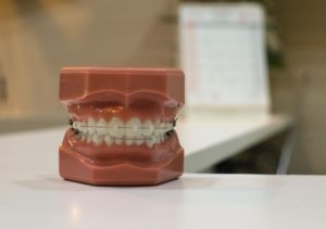 Dental Plans for You and Your Family: How to Choose the Best One